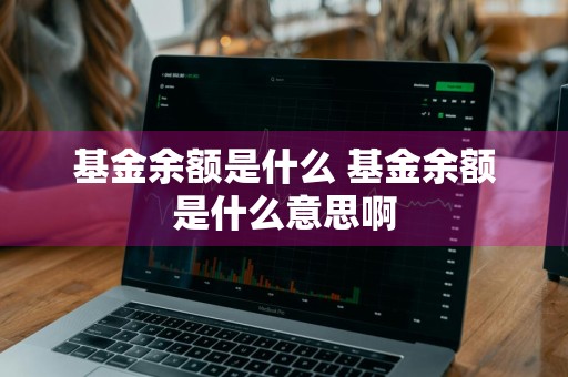 基金余额是什么 基金余额是什么意思啊