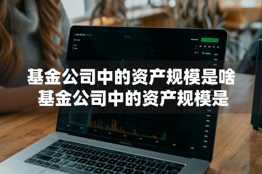 基金公司中的资产规模是啥 基金公司中的资产规模是啥意思
