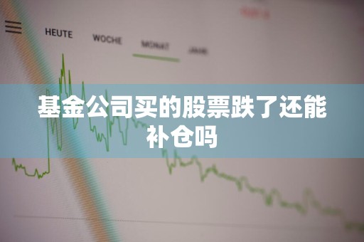 基金公司买的股票跌了还能补仓吗