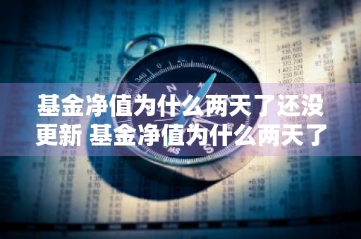 基金净值为什么两天了还没更新 基金净值为什么两天了还没更新呢