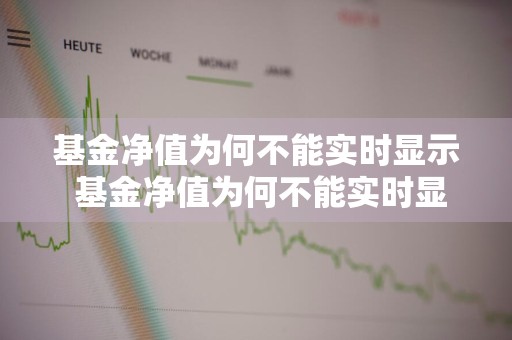 基金净值为何不能实时显示 基金净值为何不能实时显示呢