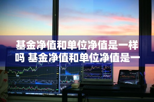基金净值和单位净值是一样吗 基金净值和单位净值是一样吗