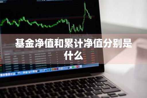 基金净值和累计净值分别是什么