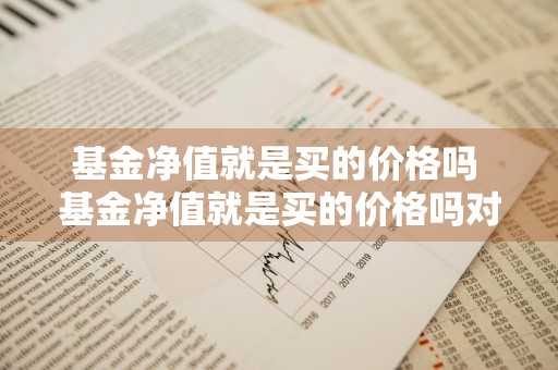 基金净值就是买的价格吗 基金净值就是买的价格吗对吗
