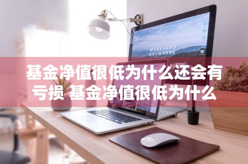 基金净值很低为什么还会有亏损 基金净值很低为什么还会有亏损呢