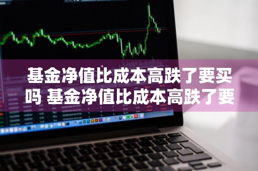 基金净值比成本高跌了要买吗 基金净值比成本高跌了要买吗为什么