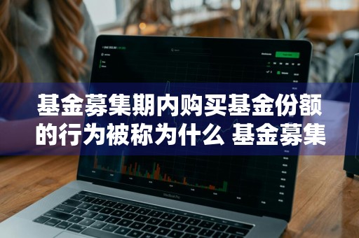 基金募集期内购买基金份额的行为被称为什么 基金募集期内购买基金份额的行为被称为什么