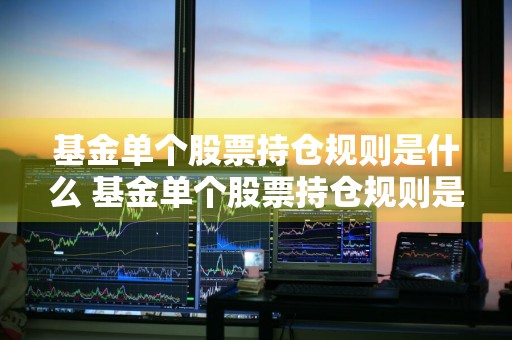 基金单个股票持仓规则是什么 基金单个股票持仓规则是什么意思
