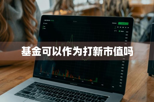 基金可以作为打新市值吗
