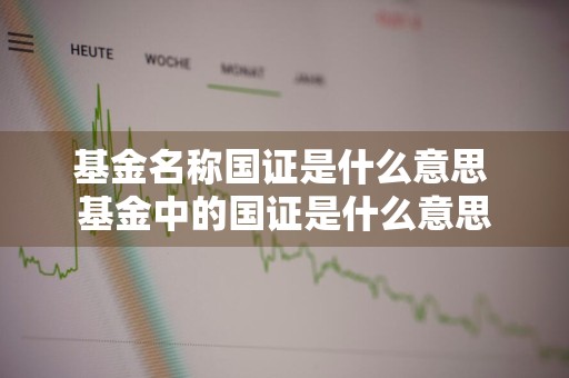 基金名称国证是什么意思 基金中的国证是什么意思