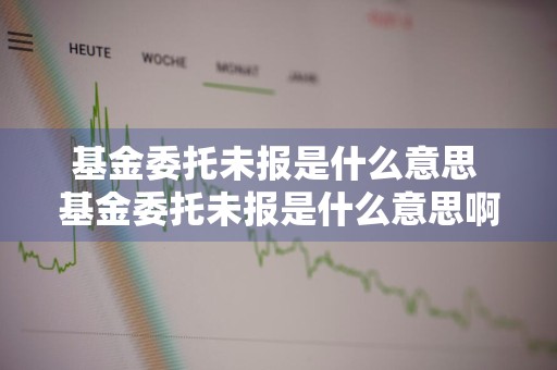 基金委托未报是什么意思 基金委托未报是什么意思啊