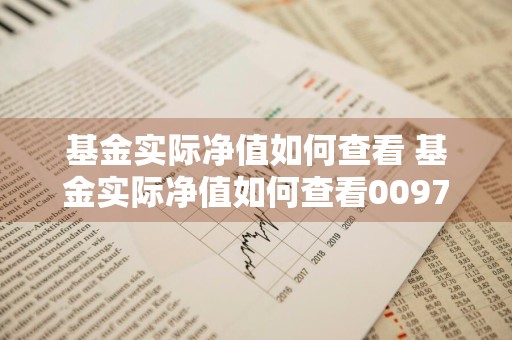 基金实际净值如何查看 基金实际净值如何查看009774