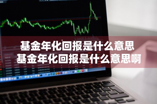 基金年化回报是什么意思 基金年化回报是什么意思啊
