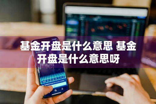 基金开盘是什么意思 基金开盘是什么意思呀