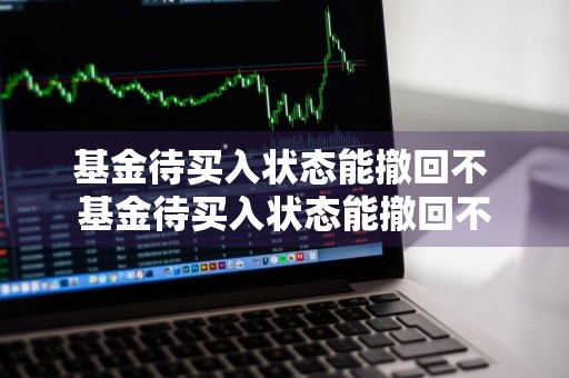 基金待买入状态能撤回不 基金待买入状态能撤回不