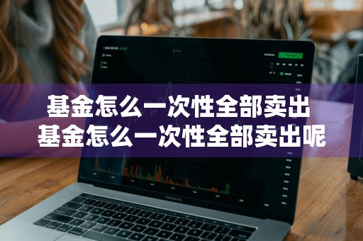 基金怎么一次性全部卖出 基金怎么一次性全部卖出呢