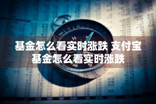 基金怎么看实时涨跌 支付宝基金怎么看实时涨跌