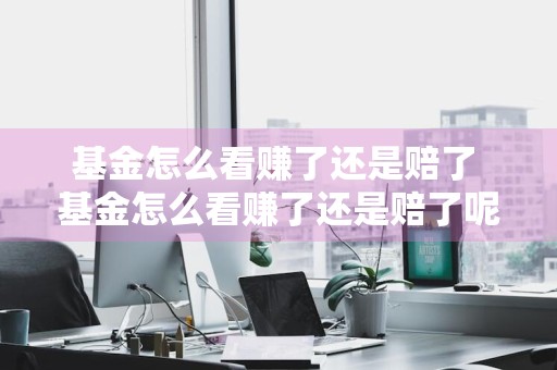 基金怎么看赚了还是赔了 基金怎么看赚了还是赔了呢