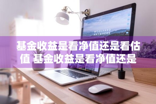 基金收益是看净值还是看估值 基金收益是看净值还是看估值呢