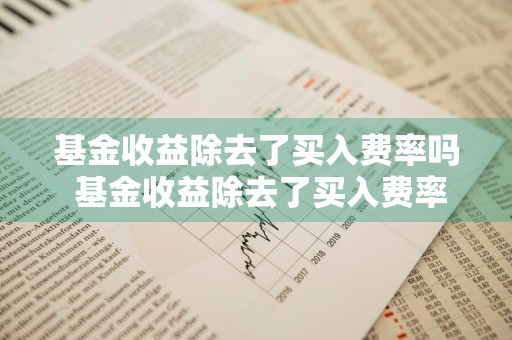 基金收益除去了买入费率吗 基金收益除去了买入费率吗还有什么