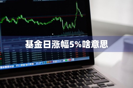 基金日涨幅5%啥意思
