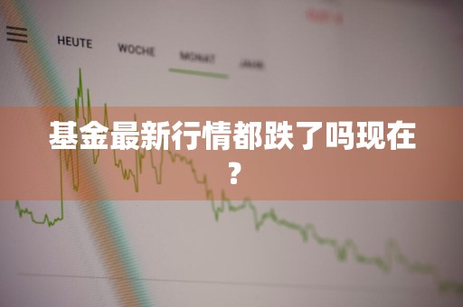 基金最新行情都跌了吗现在？