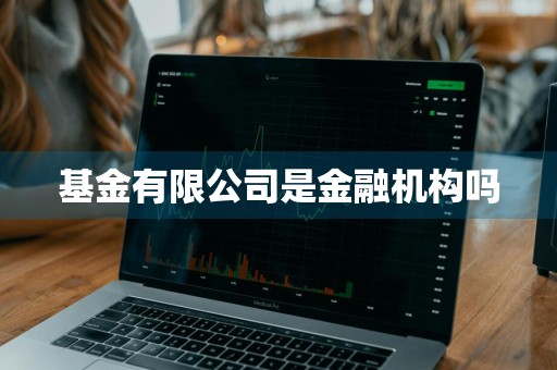 基金有限公司是金融机构吗