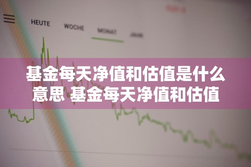 基金每天净值和估值是什么意思 基金每天净值和估值是什么意思啊