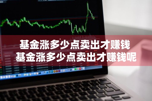 基金涨多少点卖出才赚钱 基金涨多少点卖出才赚钱呢