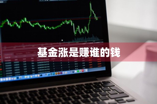 基金涨是赚谁的钱