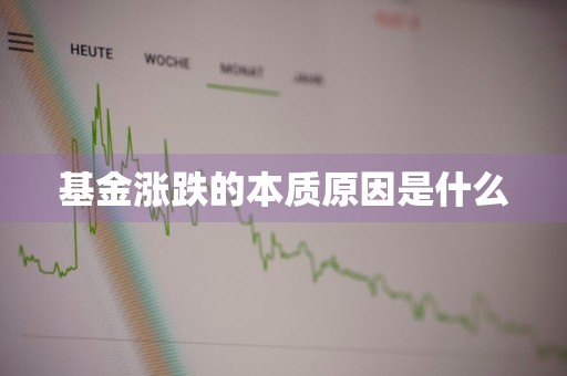 基金涨跌的本质原因是什么