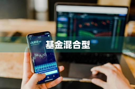 基金混合型