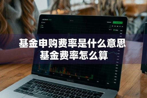 基金申购费率是什么意思 基金费率怎么算
