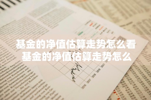 基金的净值估算走势怎么看 基金的净值估算走势怎么看图解