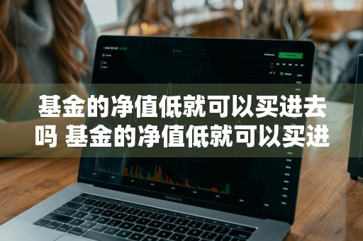 基金的净值低就可以买进去吗 基金的净值低就可以买进去吗为什么