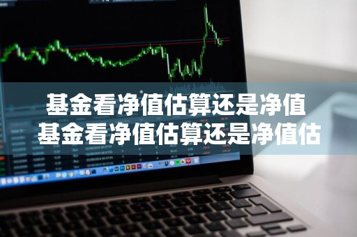 基金看净值估算还是净值 基金看净值估算还是净值估算