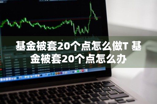 基金被套20个点怎么做T 基金被套20个点怎么办
