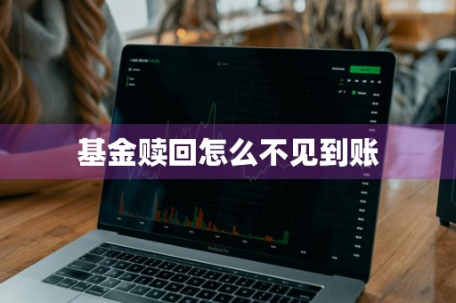基金赎回怎么不见到账