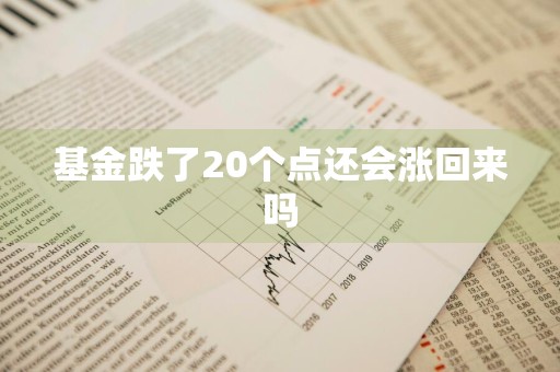 基金跌了20个点还会涨回来吗