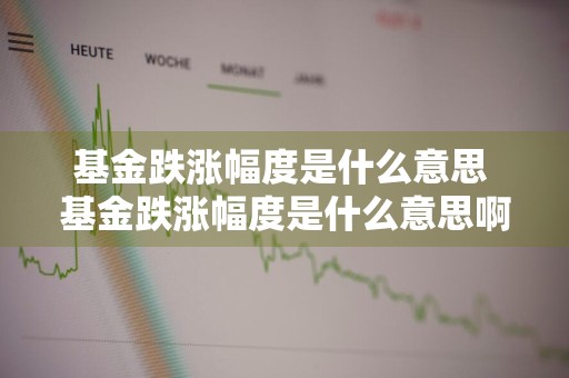 基金跌涨幅度是什么意思 基金跌涨幅度是什么意思啊