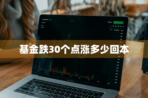 基金跌30个点涨多少回本