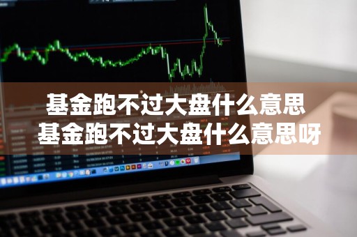基金跑不过大盘什么意思 基金跑不过大盘什么意思呀