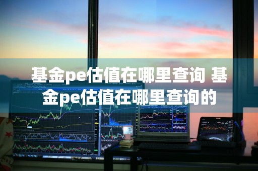 基金pe估值在哪里查询 基金pe估值在哪里查询的