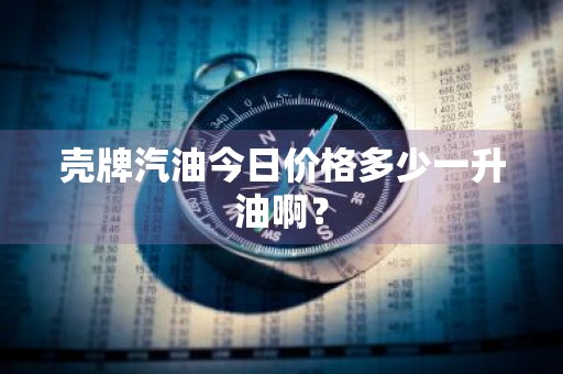 壳牌汽油今日价格多少一升油啊？