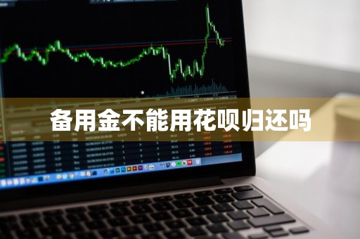 备用金不能用花呗归还吗