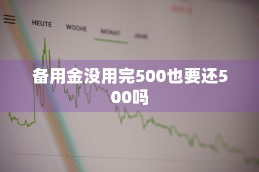 备用金没用完500也要还500吗