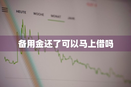 备用金还了可以马上借吗