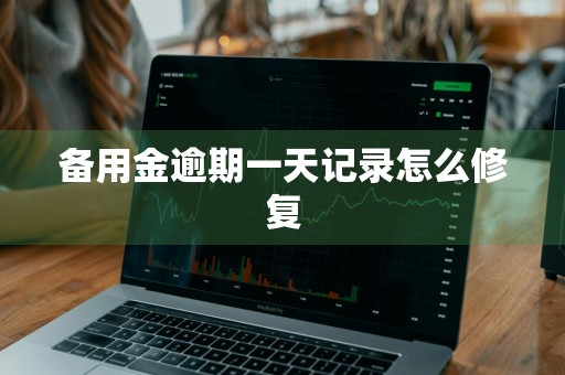 备用金逾期一天记录怎么修复