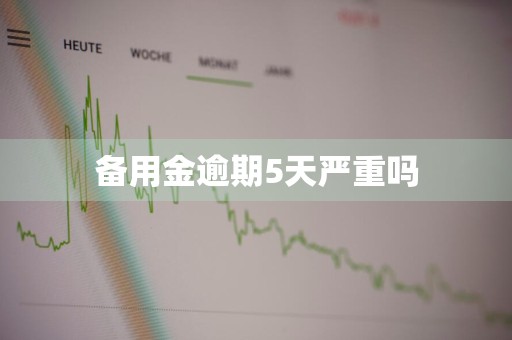 备用金逾期5天严重吗