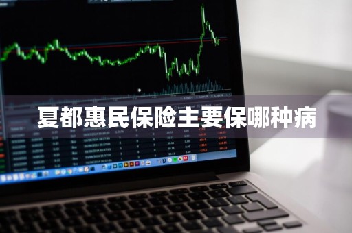夏都惠民保险主要保哪种病